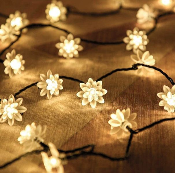Гірлянда на сонячній батареї Сакура 4.5 метра 30 led. Теплий Білий 1886604017 фото