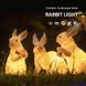 Світлові кролики для саду з LED-підсвіткою