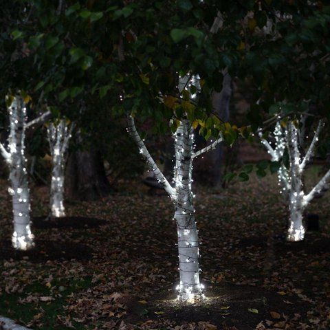 Гирлянда на солнечной батарее 100 LED цвет Холодный Белый 1401830767 фото