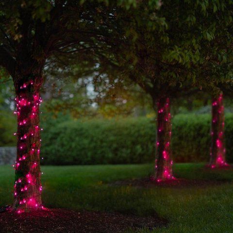 Гирлянда на солнечной батарее 100 LED цвет Розовый 1419082849 фото
