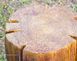 Садовая фигура "Пенец" с подсветкой Питание от сети 220VВысота 33см 0233 фото 6