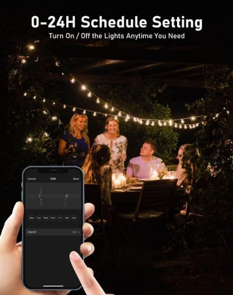 Уличная гирлянда с управлением Bluetooth и через приложение. 9м. 25 лампочек G40 220в. Лампочки в комплекте. 151654 фото